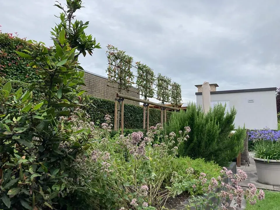 Beplanting in een verzorgde tuin