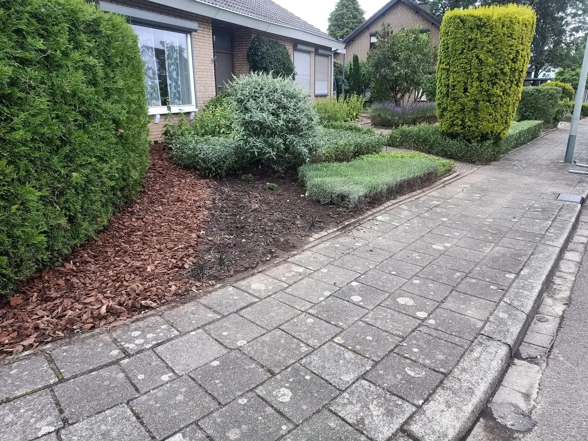 Border met boomschors