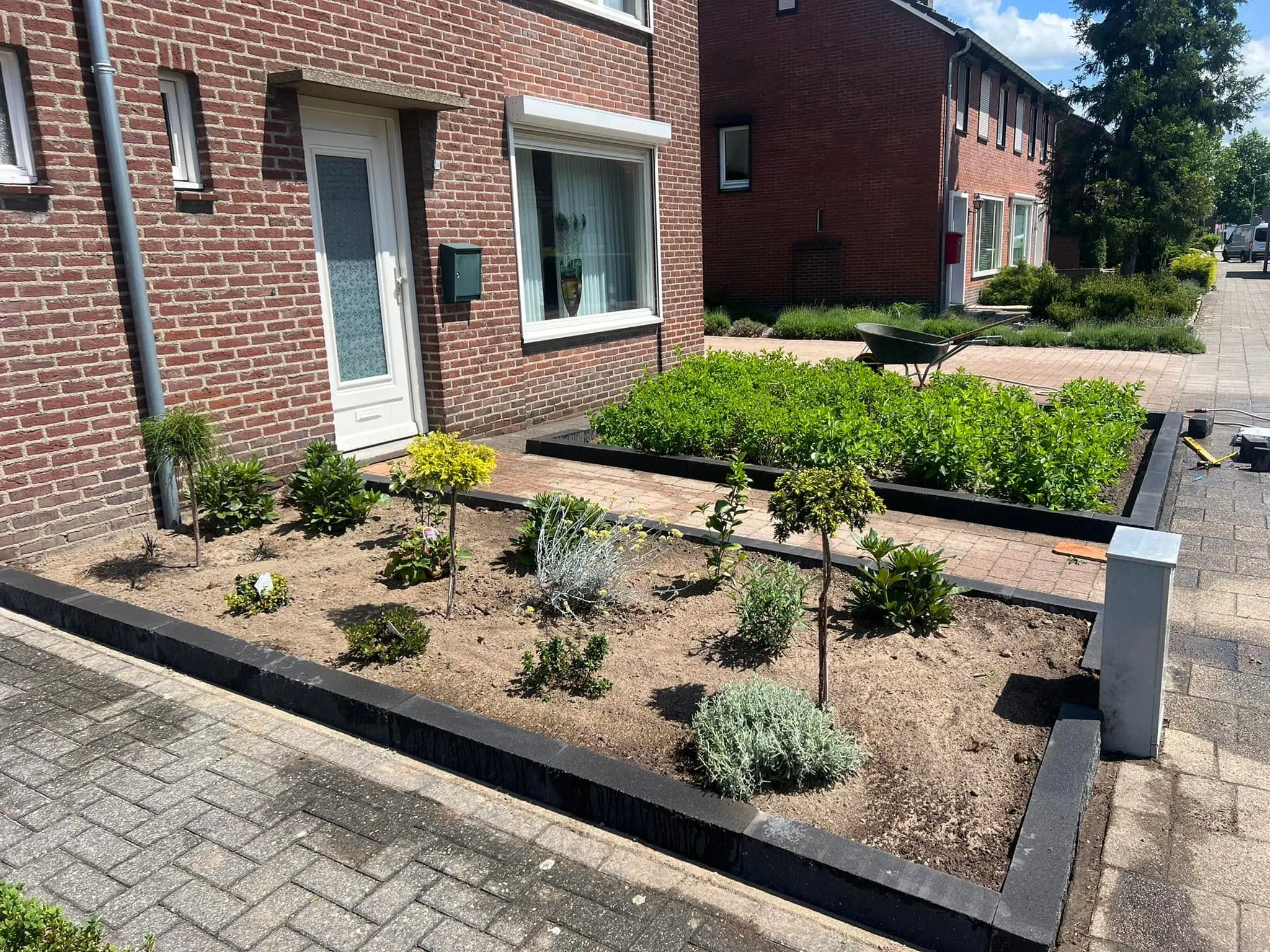 Borders met heesters