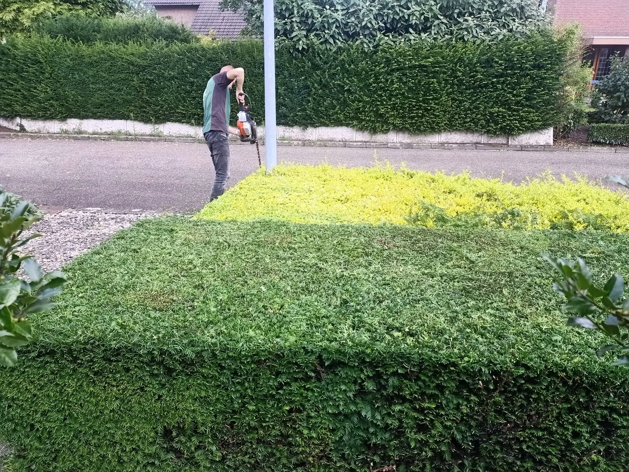 Strak geschoren haagblok