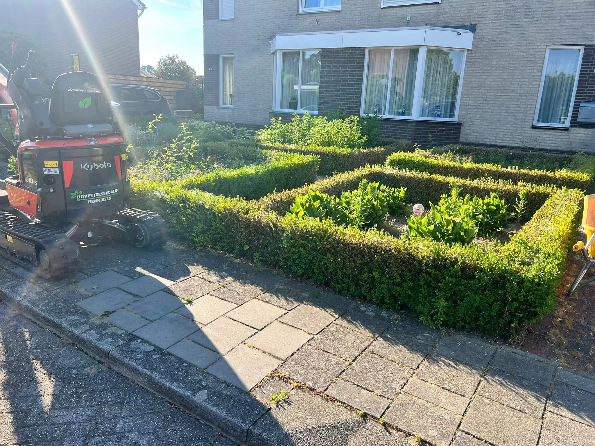 Strakke buxushagen voortuin