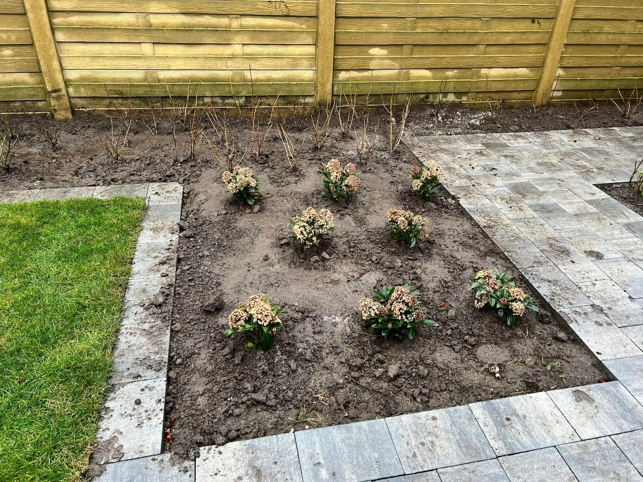 Verse border langs het terras