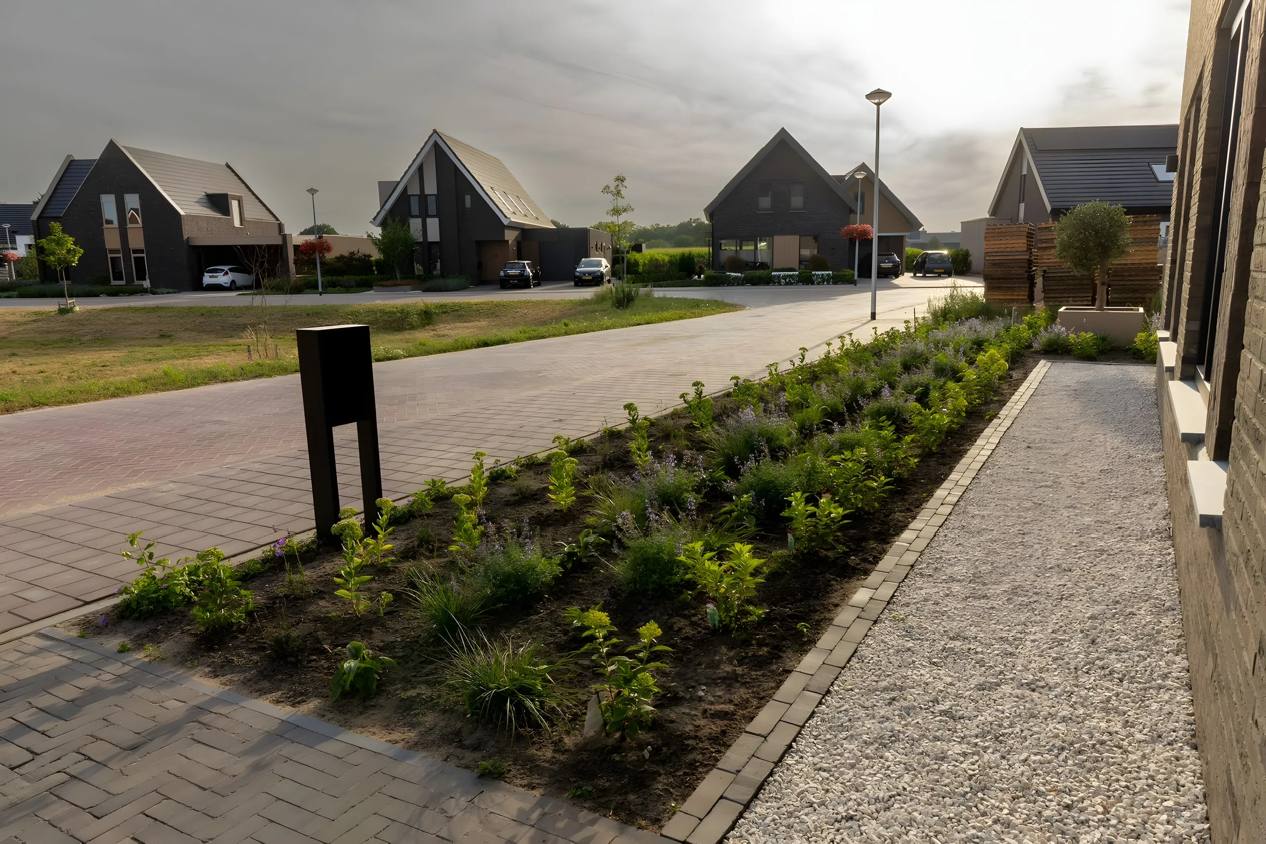 Verse borders met jonge beplanting in een nieuwbouwwijk