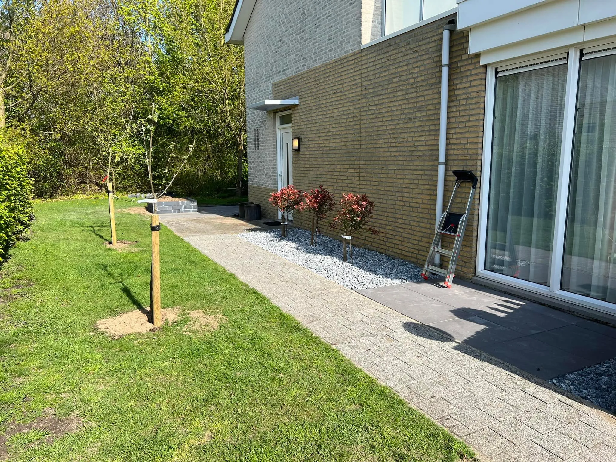 Voortuin met gazon, grindpad en jonge boom
